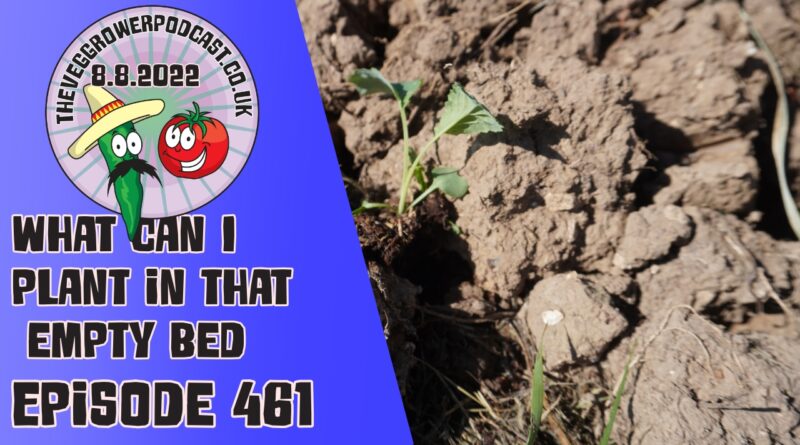 Join Richard in this weeks veg grower podcast where this week Richard is answering the question what can I plant in my empty beds?