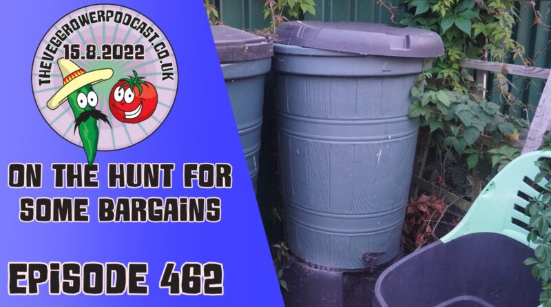 In this weeks podcast episode Richard has been alerted to some bargains that are available in shops all over the country. Richard also shares the latest from the plots.