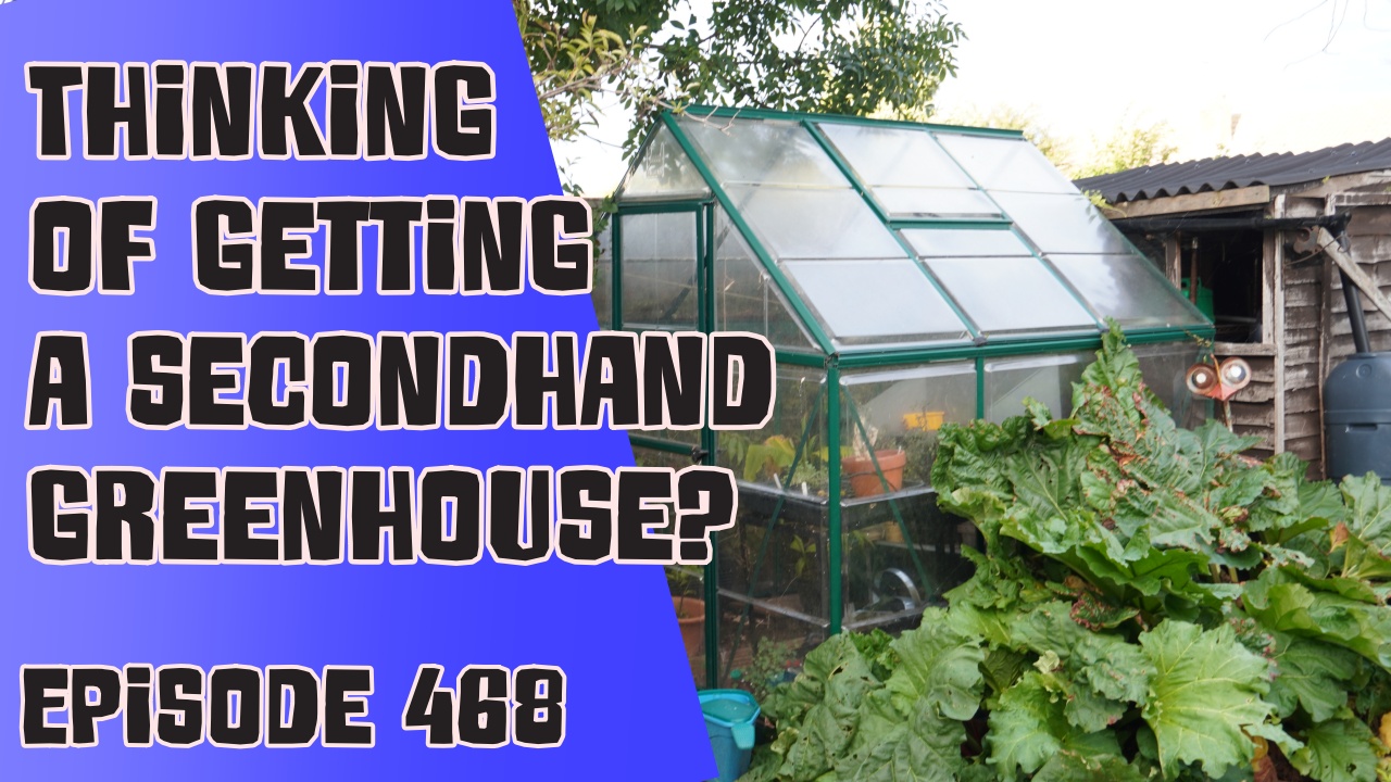 468 Thinking of getting a secondhand greenhouse? The Veg Grower Podcast