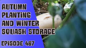 Join Richard in this weeks veg grower podcast where this weeks Richard is talking about Autumn planting plants and how he stores his Winter squash. Of course Richard also shares the latest from the plots too.