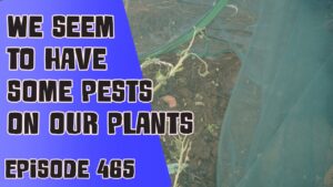 Join Richard in this weeks podcast where this week he has noticed some pests on his plants. Richard shares how he is tackling these pests.