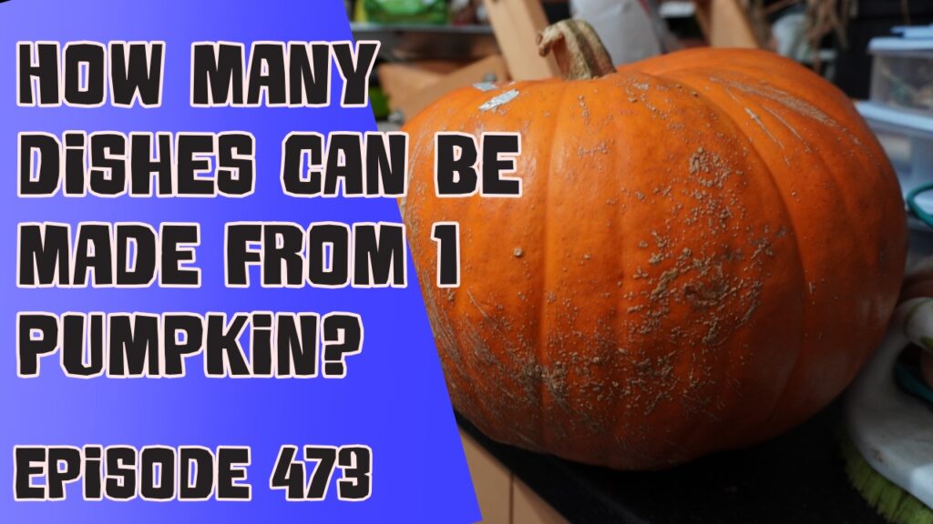 This week Richard has set himself a challenge to make as many dishes from just 1 pumpkin as possible. How many can he make? Richard also shares the latest from the plots.