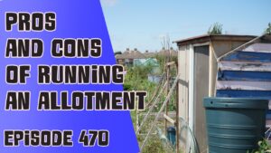 Join Richard in this weeks podcast where he is discussing the pro's and cons of running an allotment. Richard also shares the latest from the plots