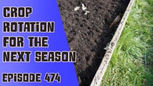 Join Richard in this weeks veg grower podcast. A podcast dedicated to the growing of vegetable on an allotment and veg patch. This week Richard is thinking about his crop rotation plans as well as the latest from the plots.
