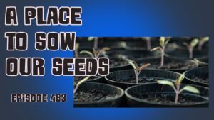 This week on the veg grower podcast Richard is itching to sow some seeds. With the cost of living crisis he is ditching his heated propagators and grow lights, and using more traditional methods.