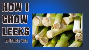 Join Richard in this weeks veg grower podcast. This week Richard is starting to sow leeks to grow on the allotment and kitchen garden.