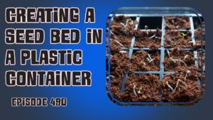 Learn how to make a seed bed from a plastic container in this weeks episode of The Veg Grower Podcast with Richard Suggett