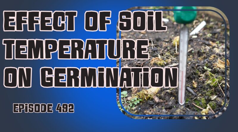 Welcome to episode 493 of our veg grower podcast! In this week's episode, we discussed the latest updates from our garden and allotment, as well as the effects of soil temperature on plant growth and germination.