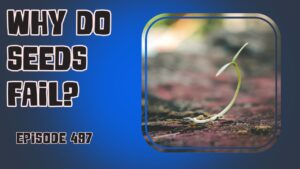 join us this week as we explore why seeds can fail, and how to use grass as mulch. Plus, get a delicious recipe for stewed rhubarb!