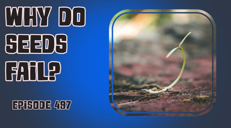 join us this week as we explore why seeds can fail, and how to use grass as mulch. Plus, get a delicious recipe for stewed rhubarb!