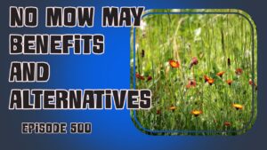 Discover the benefits of participating in the No Mow May campaign for your vegetable garden. Learn about alternative methods to support pollinators and improve crop yield.