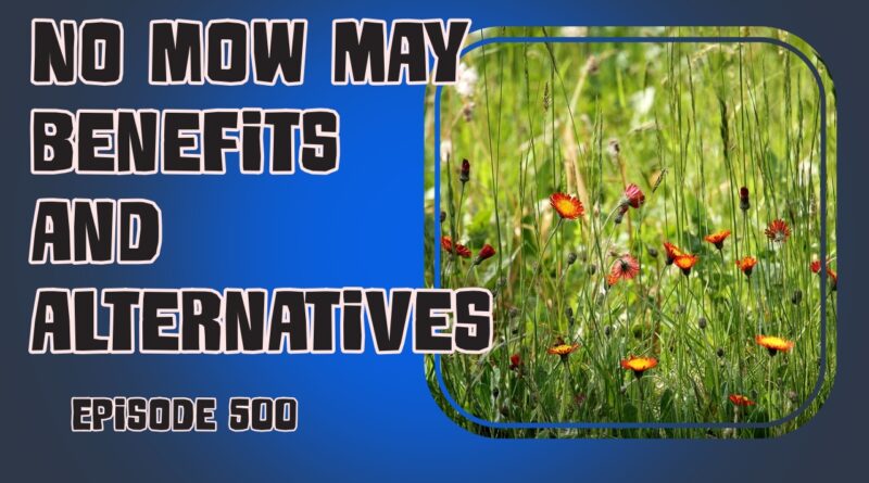 Discover the benefits of participating in the No Mow May campaign for your vegetable garden. Learn about alternative methods to support pollinators and improve crop yield.