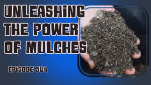 Discover the power of mulching in our latest podcast episode. Learn about different mulches and get a bonus homemade mayonnaise recipe. Happy gardening!