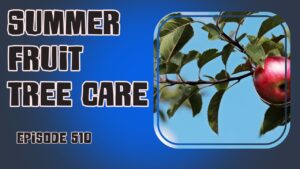 Discover the latest allotment updates, summer fruit tree care tips, and the joy of a bountiful garden harvest in the Veg Grower Podcast.