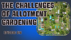 Allotment gardening challenges and harvests: tips for a thriving community. The veg grower podcast episode 516