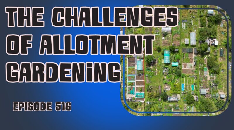 Allotment gardening challenges and harvests: tips for a thriving community. The veg grower podcast episode 516