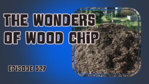 In this weeks episode of the podcast Richard is looking at the wonders of woodchip and sharing how he makes his own using a garden shredder.
