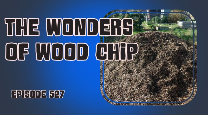 In this weeks episode of the podcast Richard is looking at the wonders of woodchip and sharing how he makes his own using a garden shredder.