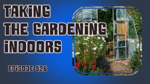 In this weeks podcast, Richard is taking the vegetable gardening indoors. The hope is to continue growing more food throughout the winter.