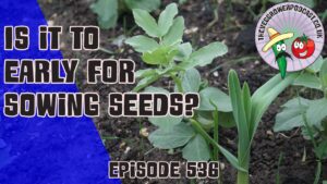 Join us in this weeks podcast where Richard is asking is it too early to sow seeds? Also shares the latest from the allotment and veg garden