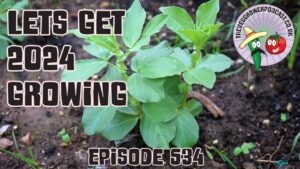 Its 2024 and a happy new year. This week we are getting our 2024 garden underway with plenty of veg growing, harvested, sown and beds prepped.