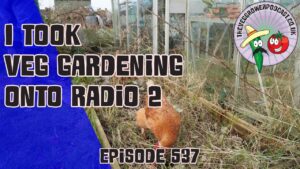 This week on the veg grower podcast Richard has made an appearance on BBC radio 2 as well as the latest from the allotment and veg garden.