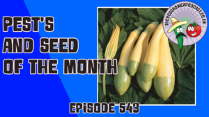 In this weeks podcast Richard has been dealing with pests, got new chickens and has a new feature of seed of the month.