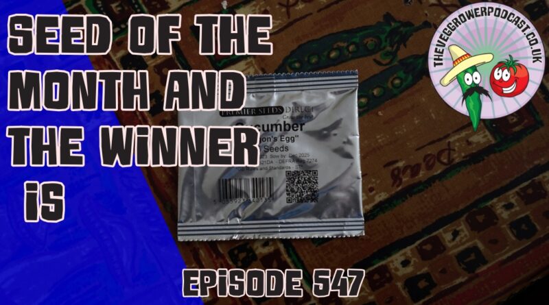 In this weeks veg grower podcast we have the seed of the month and the winner of the name that chicken competition