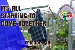 Join Richard in this weeks podcast has the allotment and garden is all coming together, Grass paths has been cut, and brassicas planted out.