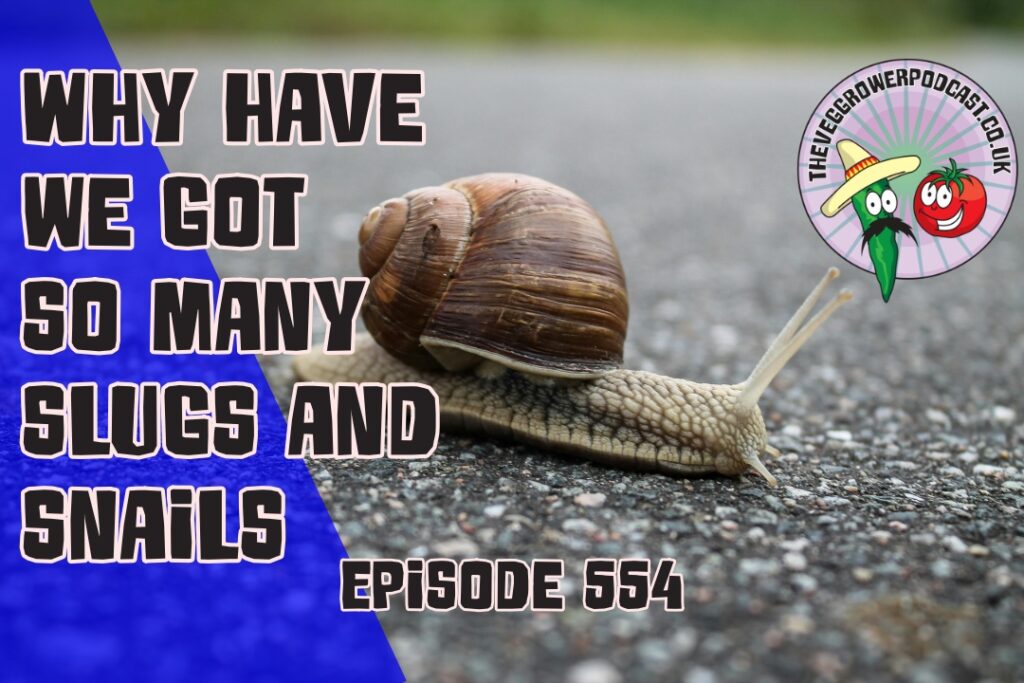 This week Richard may have uncovered why he is having so many problems with slugs and snails. Richard has also been sowing some flowers.