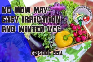 In this weeks podcast Richard shares why he is not participating in no mow may, experiments with new irrigation products and sows winter veg.