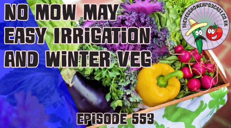 In this weeks podcast Richard shares why he is not participating in no mow may, experiments with new irrigation products and sows winter veg.