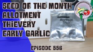 Discover tips on growing Beetroot Boltardy, securing your allotment, and harvesting early garlic in Veg Grower Podcast #556.