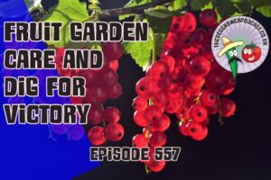 Learn expert fruit garden care, WWII gardening tips, and get a delicious beetroot soup recipe on Veg Grower Podcast #557