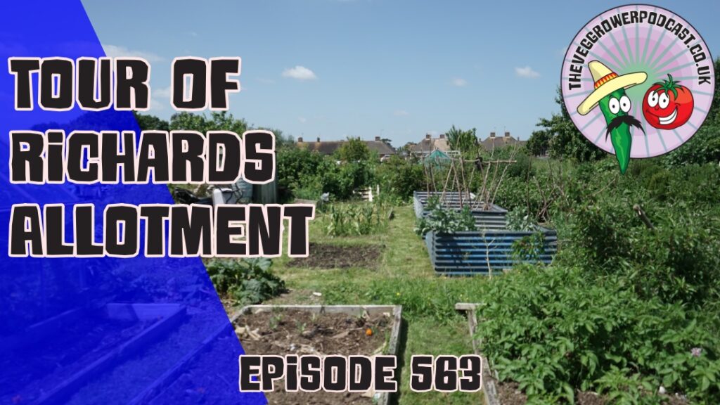 in this weeks podcast Join Richard as he takes us on a tour of his allotment, wit the highs and lows of this year so far.