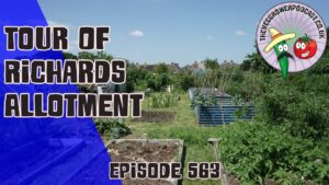 in this weeks podcast Join Richard as he takes us on a tour of his allotment, wit the highs and lows of this year so far.