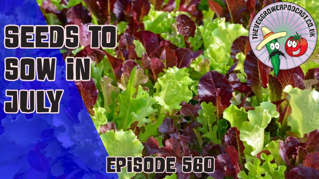 Join Richard in this weeks podcast for the seed of the month and seeds to sow in July. Also Richard takes us on a tour of his garden.
