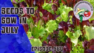 Join Richard in this weeks podcast for the seed of the month and seeds to sow in July. Also Richard takes us on a tour of his garden.
