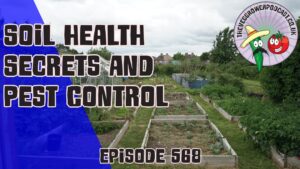 In this weeks podcast in which Richard concludes experiments with soil health and mulches. Chef Scott is back with another amazing recipe.