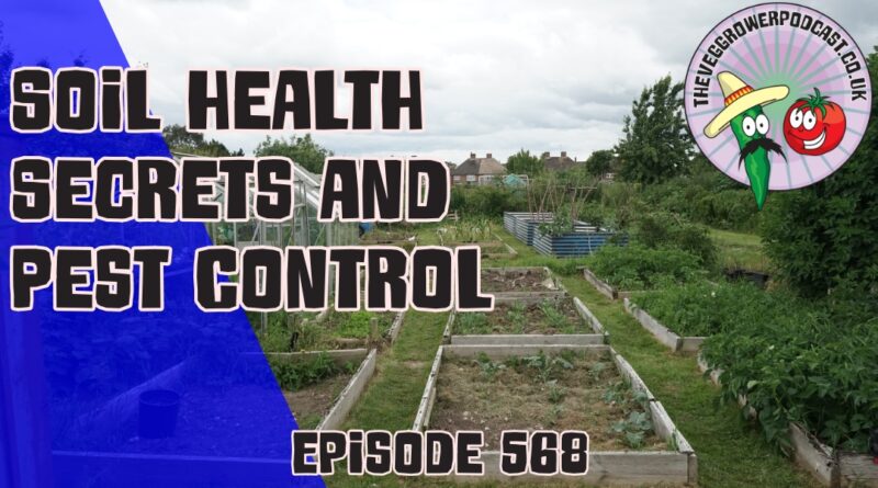 In this weeks podcast in which Richard concludes experiments with soil health and mulches. Chef Scott is back with another amazing recipe.