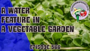 IN this weeks podcast Richard has created a water feature purposely to grow watercress. Richard also talks about manures on the allotment.
