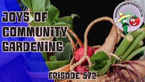 In this weeks podcast Richard is taking on a tour of a few local community garden projects. A great way to grow food together