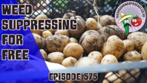 Join Richard in this weeks podcast in which he shares free ways to suppress weeds using free materials and a hot bed is built.