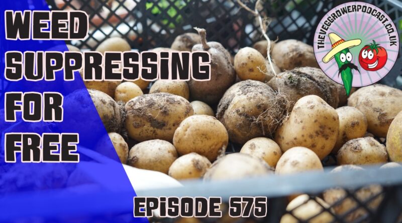 Join Richard in this weeks podcast in which he shares free ways to suppress weeds using free materials and a hot bed is built.