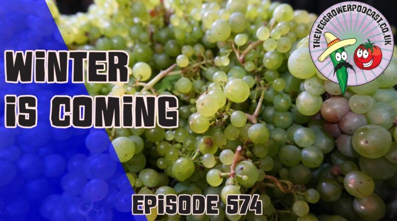 Join Richard in this weeks podcast in which Richard checks that he is ready to get his veg plants through winter