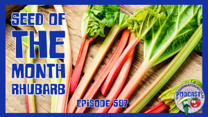 The first podcast of the year from the veg grower podcast features Rhubarb as our seed of the month. Easy to grow from seed