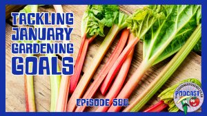 In this week's episode of The Veg Grower Podcast, Richard dives into his January goals for the allotment and kitchen garden