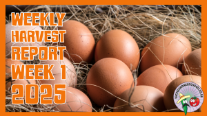 Returning for 2025 is the weekly harvest report. A chance for Richard to share just how much food he has harvested this week.