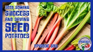 Join Richard and Scott in this weeks podcast where we share our tips for seed sowing success, how to save seed potatoes and more.