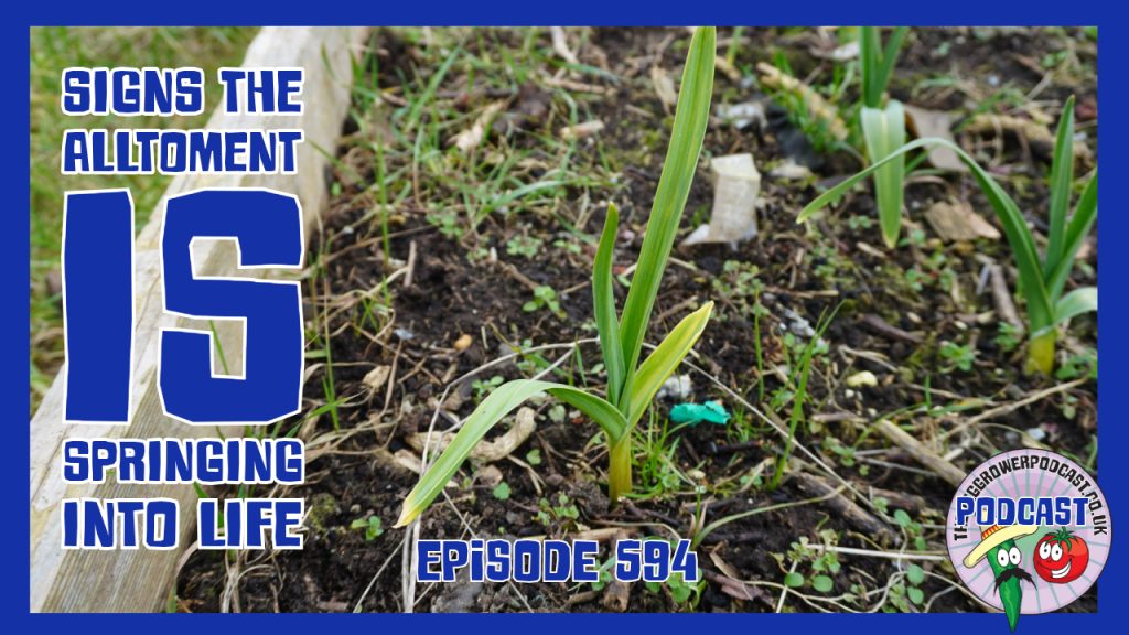 Join Richard and Scott in this weeks podcast as we notice that the allotment is springing into life. Soon to be a busy time of year.